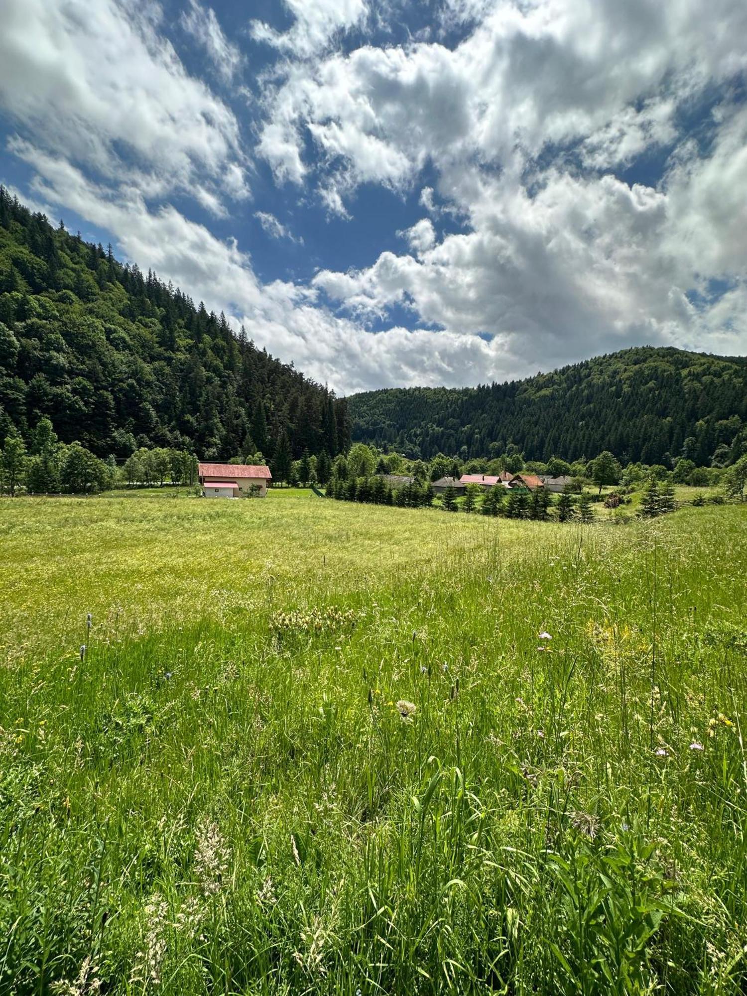 Vama Chalet バマ・ブザウルイ エクステリア 写真