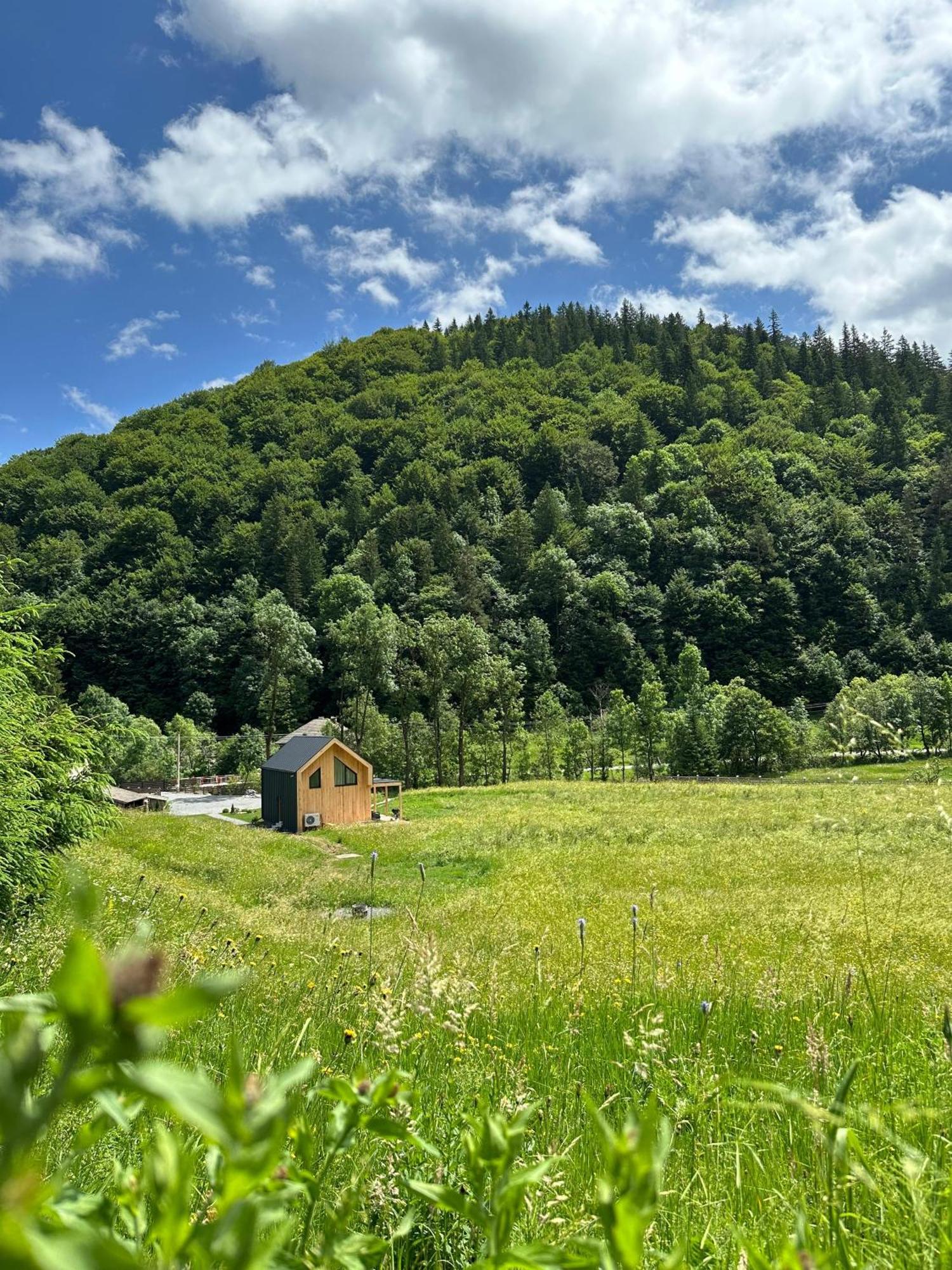Vama Chalet バマ・ブザウルイ エクステリア 写真